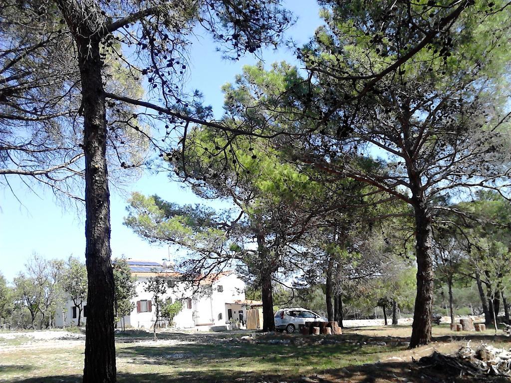 Eco Secluded Apartments Zabodarski Čunski Eksteriør billede
