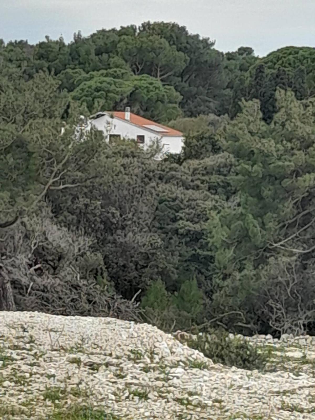 Eco Secluded Apartments Zabodarski Čunski Eksteriør billede