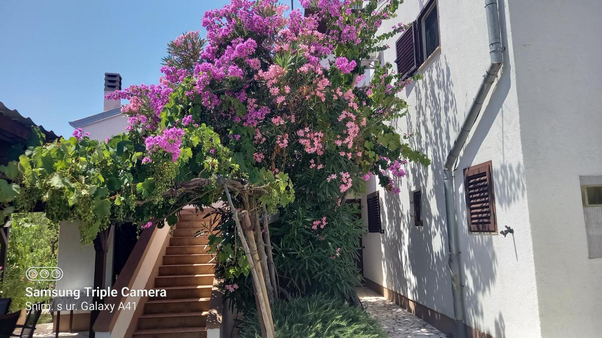 Eco Secluded Apartments Zabodarski Čunski Eksteriør billede