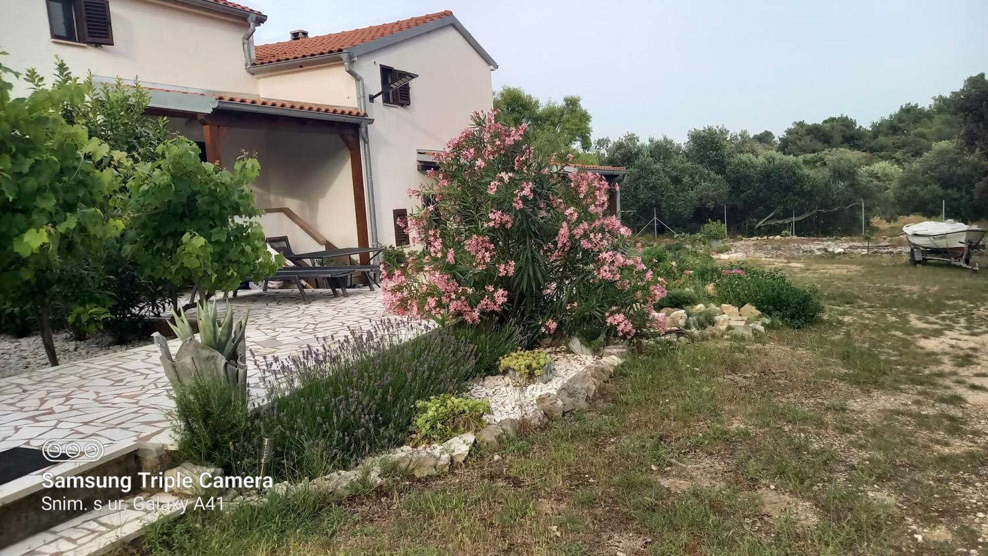 Eco Secluded Apartments Zabodarski Čunski Eksteriør billede
