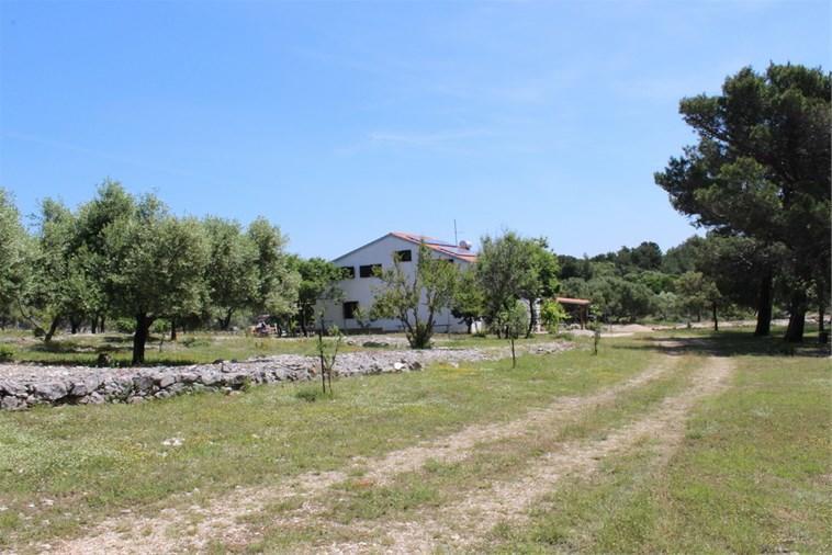 Eco Secluded Apartments Zabodarski Čunski Eksteriør billede
