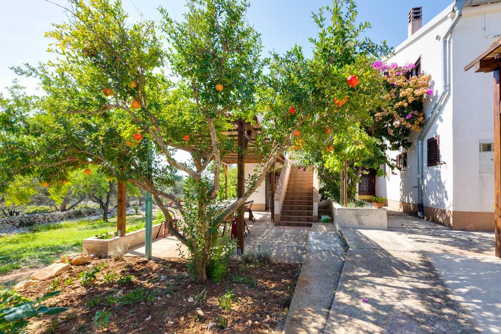Eco Secluded Apartments Zabodarski Čunski Eksteriør billede