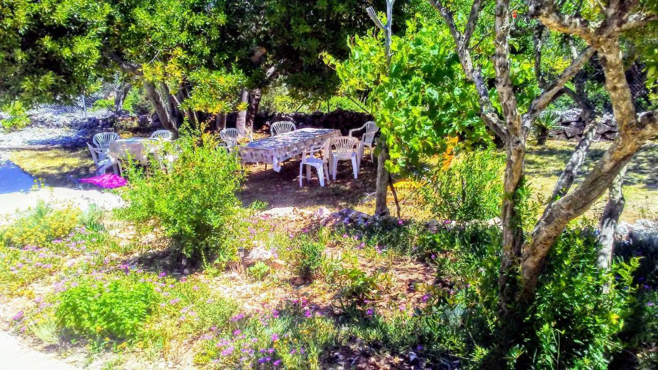 Eco Secluded Apartments Zabodarski Čunski Eksteriør billede